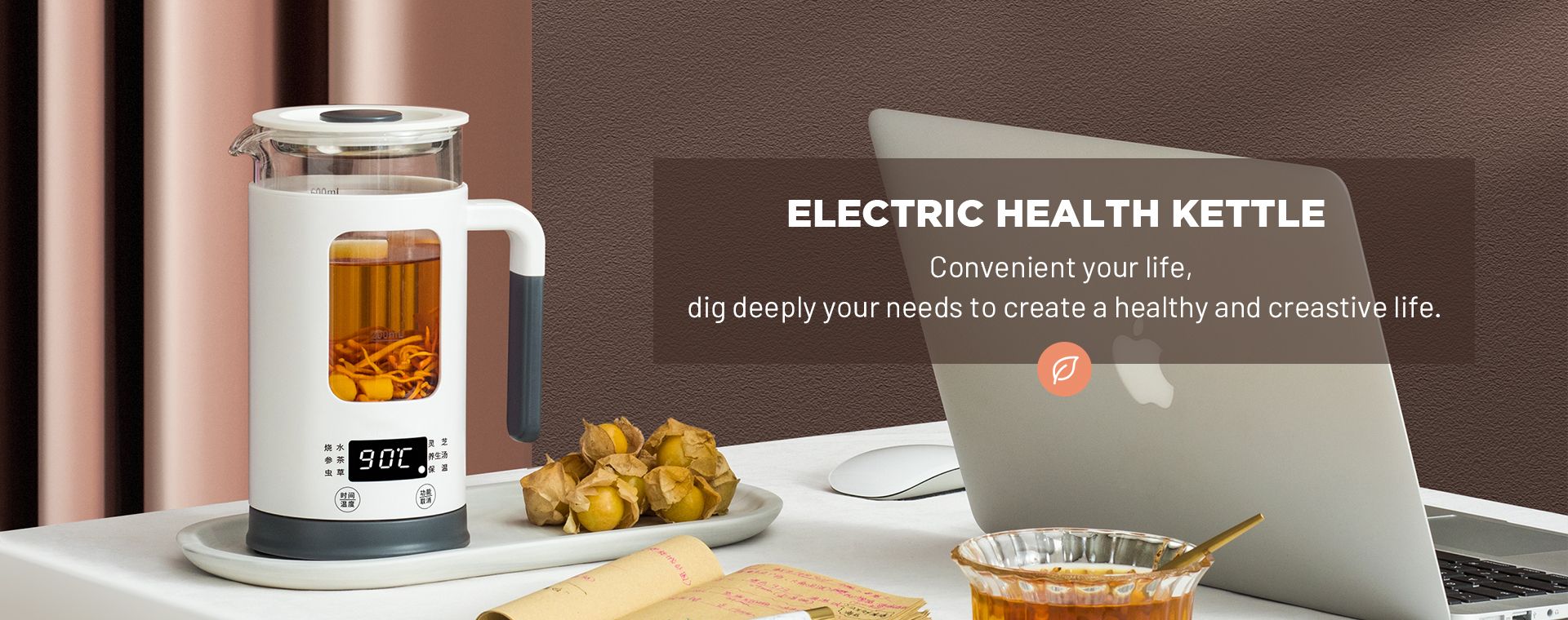 Electric Health Kettle